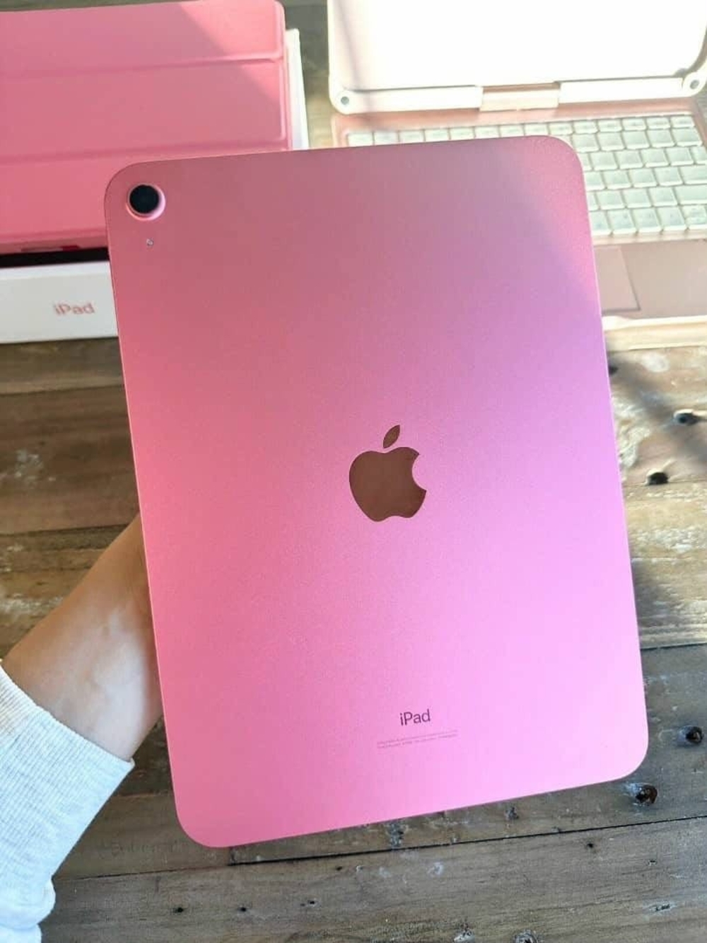 Apple iPad in Pink Metallic Finish
